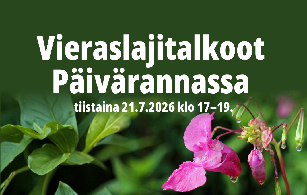 vieraslajitalkoot